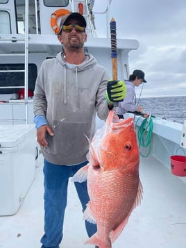 Red Snapper Fishing in Destin, Florida