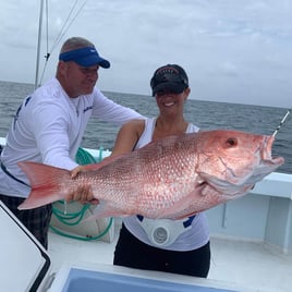 Red Snapper Fishing in Destin, Florida