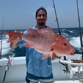 Red Snapper Fishing in Destin, Florida