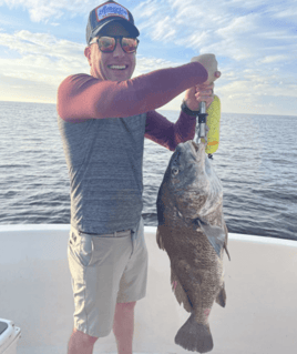 Black Drum Fishing in Biloxi, Mississippi