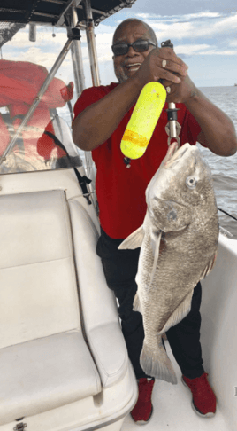 Black Drum Fishing in Biloxi, Mississippi