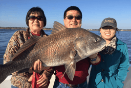 Black Drum Fishing in Biloxi, Mississippi