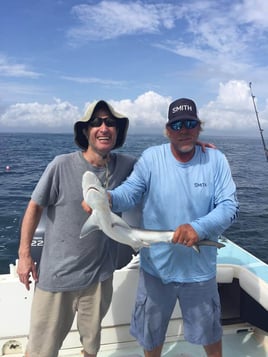 VA Beach Inshore Action