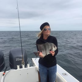 VA Beach Inshore Action