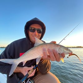 Jupiter Fly Fishing with Dingo