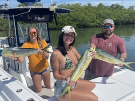 Mahi Mahi Fishing in Key West, Florida