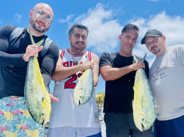 Mahi Mahi Fishing in Key West, Florida