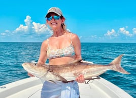 Cobia Fishing in Jacksonville, Florida