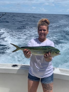 Mahi Mahi Fishing in Beaufort, North Carolina