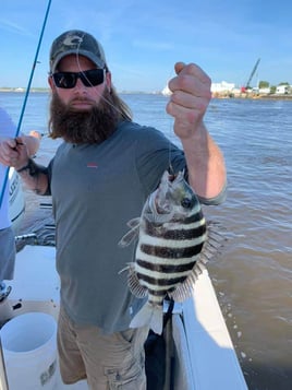 Sheepshead Fishing in Atlantic Beach, Florida