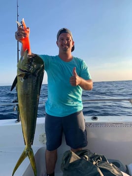 Mahi Mahi Fishing in Atlantic Beach, Florida