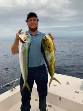 Mahi Mahi Fishing in Atlantic Beach, Florida