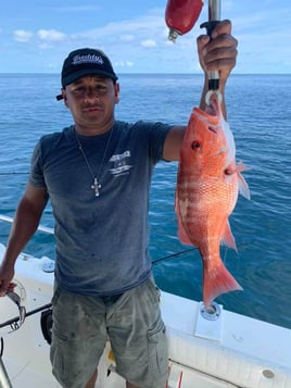 Red Snapper Fishing in Atlantic Beach, Florida