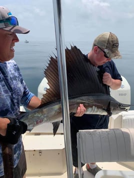 Full or Extended Day Trips with Captain Chris - 25' SeaCat