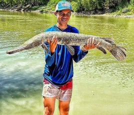 Giant Alligator Gar Adventure