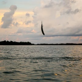 Key West on Light Tackle & Flies