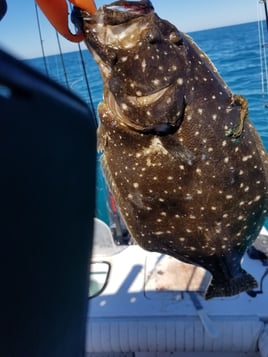 Flounder Fishing in Wrightsville Beach, North Carolina