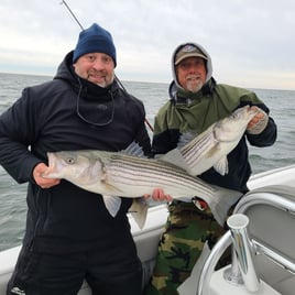 New Jersey Striper Classic