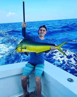 Mahi Mahi Fishing in Punta Cana, Dominican Republic