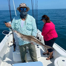 Cobia Fishing in Key West, Florida