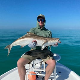 Cobia Fishing in Key West, Florida