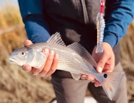 Folly Fly or Light Tackle