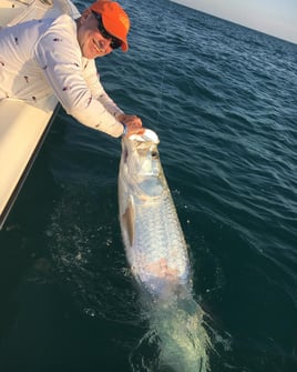 Punta Gorda Tarpon Special