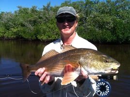 Redfish Fishing in Placida, Florida