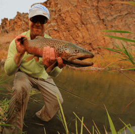 Brown Trout Fishing in Craig, Montana