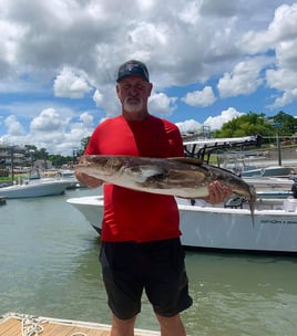 Wilmington Mixed Bag