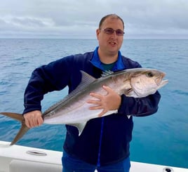 Wilmington Mixed Bag