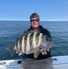 Sheepshead Fishing in Jacksonville, Florida