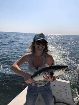 False Albacore Fishing in Wilmington, North Carolina