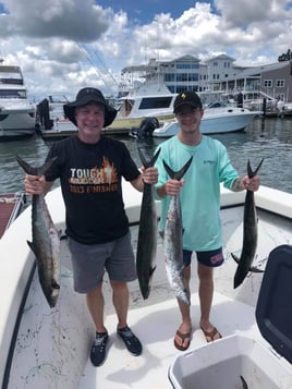 Barracuda Fishing in Wilmington, North Carolina