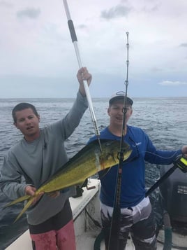 Mahi Mahi Fishing in Wilmington, North Carolina