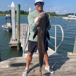 Cobia Fishing in Wrightsville Beach, North Carolina