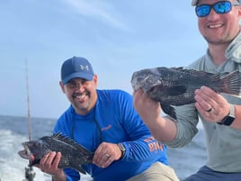 Black Seabass Fishing in Charleston, South Carolina