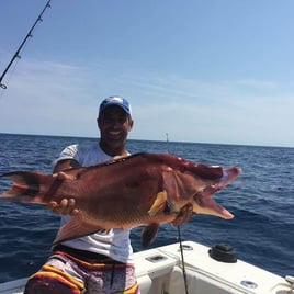 Hogfish Fishing in Charleston, South Carolina