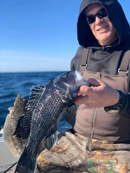 Black Seabass Fishing in Charleston, South Carolina