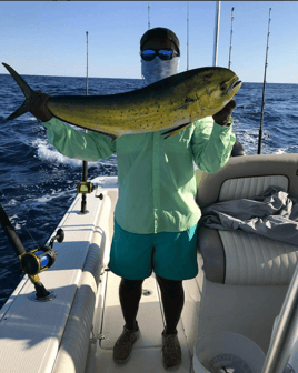 Mahi Mahi Fishing in North Charleston, South Carolina