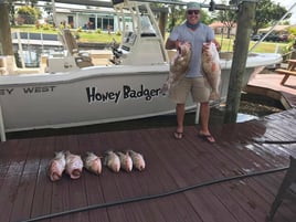 American Red Snapper Trip