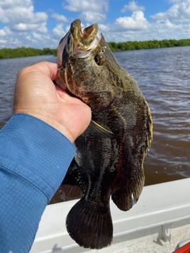 Everglades Slam (US Vet)