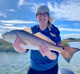 Seasonal Inshore Action