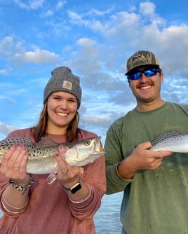 Seasonal Inshore Action