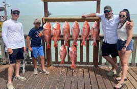 Red Snapper Adventure