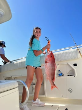 Red Snapper Adventure