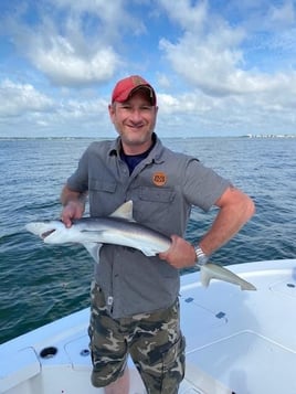 Captain Justin's Inshore Special