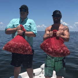 Crystal Coast Scalloping Adventure