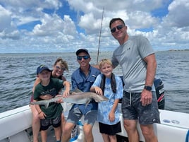 Sharks in Charleston Harbor