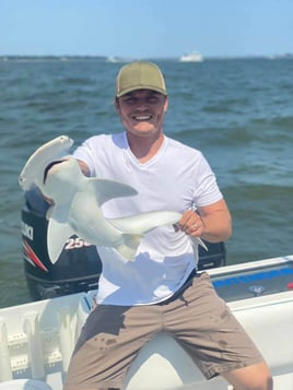 Sharks in Charleston Harbor